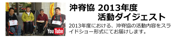 2013年活動ダイジェスト